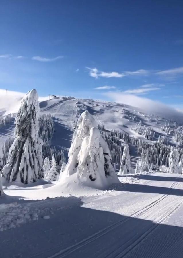Appartamento Sunny Kop Cardaci Kopaonik Esterno foto